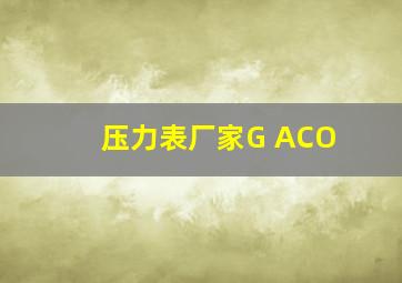 压力表厂家G ACO